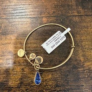NWT Alex and Ani Swarovski teardrop Bangle